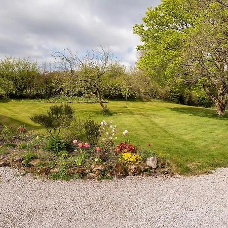 Llys Onnen - North Wales Holiday Cottage Mold Dış mekan fotoğraf
