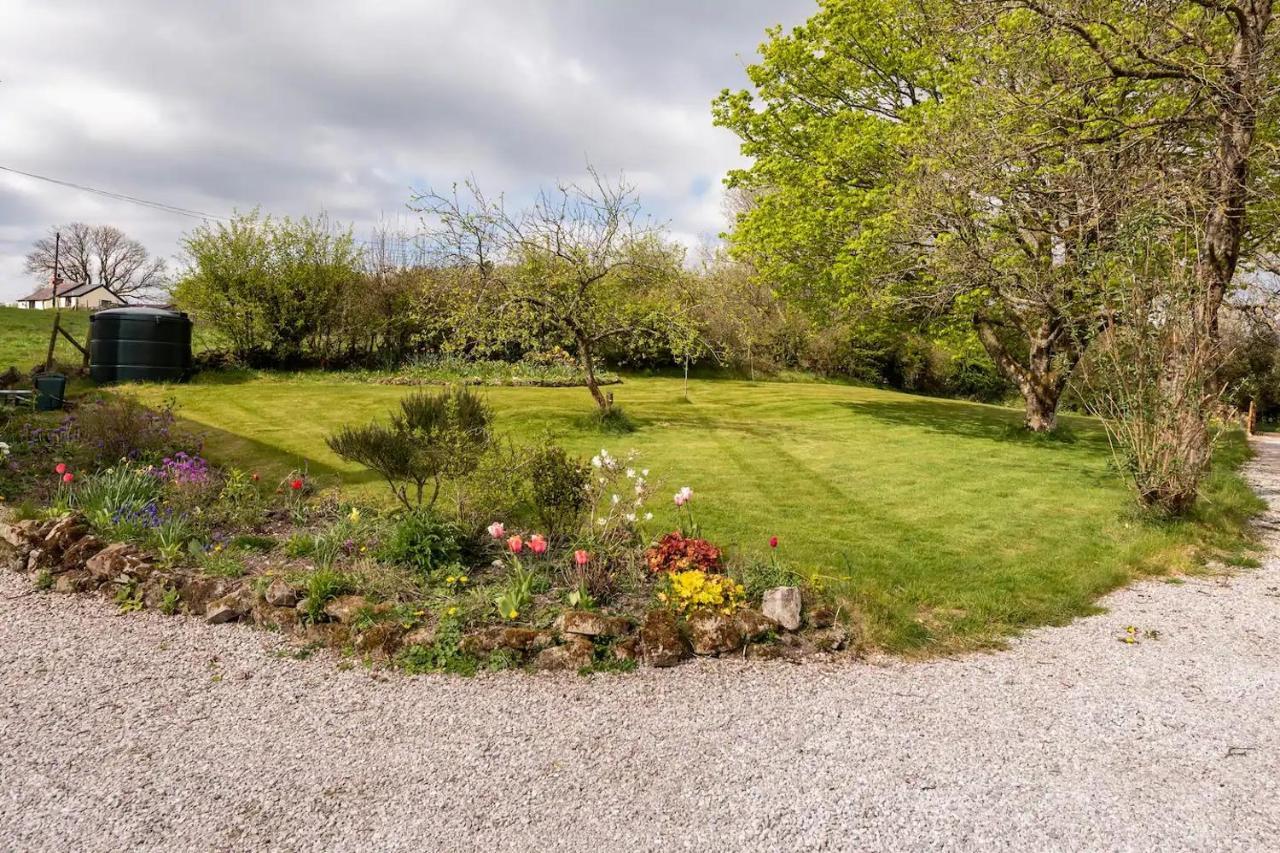 Llys Onnen - North Wales Holiday Cottage Mold Dış mekan fotoğraf