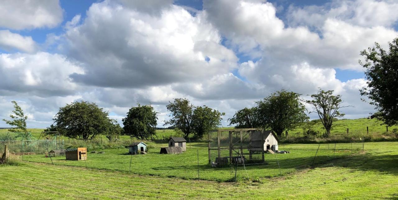 Llys Onnen - North Wales Holiday Cottage Mold Dış mekan fotoğraf